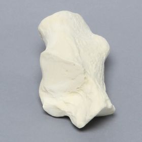 Calcaneus, Solid Foam, Left