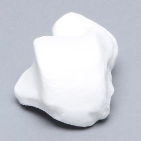 Talus, Solid White Plastic, Left