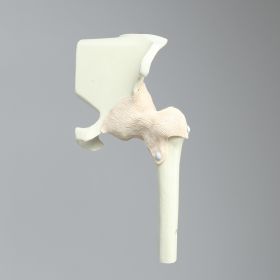 Hip Insert for Express Arthroscopy Hip