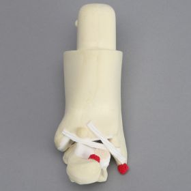 Arthroscopy Foot and Ankle Trainer Insert, Advanced Version 1