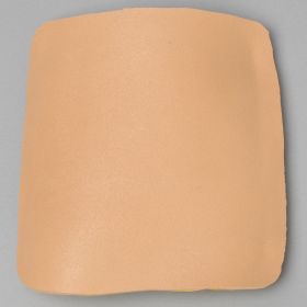 Replacement Lateral Portal
