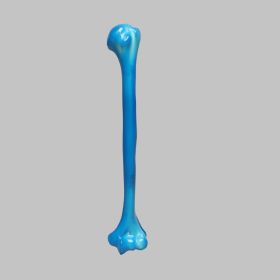 Humerus, absolute™ Osteo, 10 PCF Solid Foam, Large