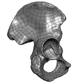 Hemi Pelvis, Scan of #1296