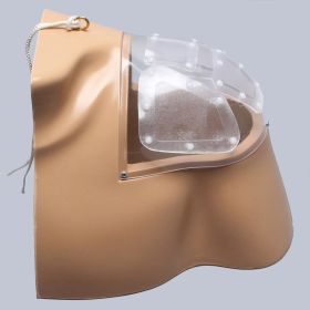 Alex II Shoulder Replacement Shell