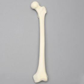 Femur, 9.5 mm Canal, Solid Foam, Left, Small