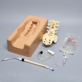 Dura Repair Kit with Lumbar Vertebrae, Solid Foam