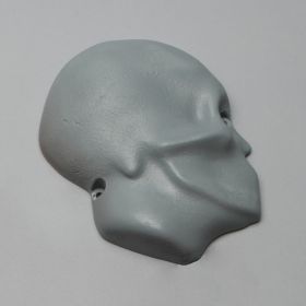 Skull, Half, for Cranial Access Fluoroscopy Model, Radiopaque