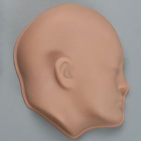 Face Skin for Cranial Access Models