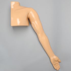 Arm and Partial Shoulder without Bones for Casting