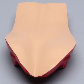 Opaque Cover for Vertebroplasty Trunk #1513-38