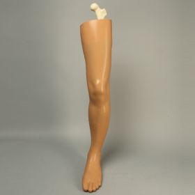 Leg, Soft Tissue, with Removable Bones