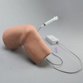 Knee Injection Model with 60 Degree Bend