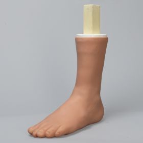 High Fidelity Ankle with All Major Anatomy Components in Soft Tissue