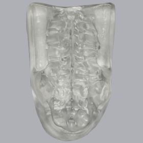 Clear Cover for Lumbar Holder #1524-1 Without Portals