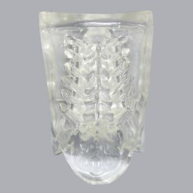 Clear Lumbar Cover with Portals and Channels