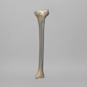 Tibia, absolute™ 4th Gen., 17 PCF Solid Foam Core, Large