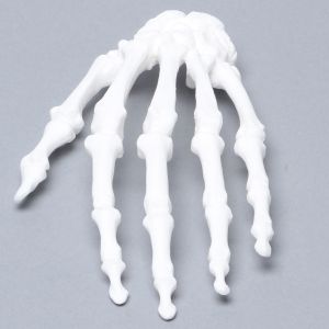 Hand with Carpals and Metacarpals, Solid White Plastic