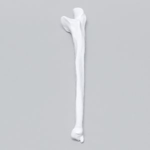 Ulna, 5mm Canal, Plastic Cortical