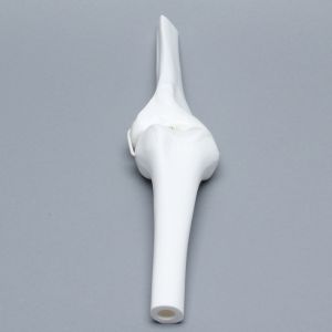 Knee Joint with Four Stretch Cord Ligaments