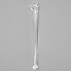 Ulna without Canal, Solid Clear Plastic