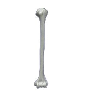 Osteo Humerus, Scan of #3504