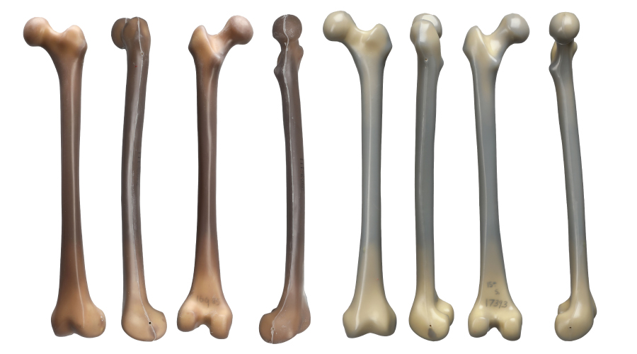 Composite Femur Color Comparison