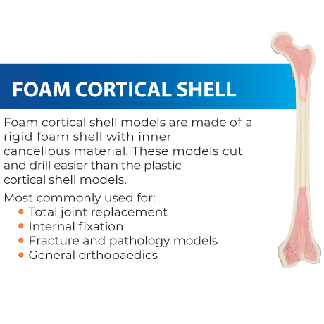 Rigid foam shell models with inner cancellous material, ideal for total joint replacement, internal fixation, fracture and pathology models, and discectomy procedures. These foam cortical shell models are designed for easy cutting and drilling.
