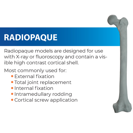 Radiopaque models are intended for X-ray or fluoroscopy, featuring a distinct high-contrast cortical shell, primarily used for external fixation, total joint replacement, internal fixation, intramedullary rodding, and cortical screw application.