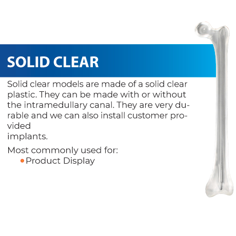 Robust, transparent models crafted from durable clear plastic, available with or without an intramedullary canal. Customizable to accommodate customer-provided implants. Ideal for showcasing medical devices or implants..