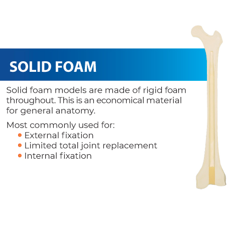 Solid foam models, ideal for external and internal fixation in limited joint replacement. Economical and made of durable rigid foam for various general applications.
