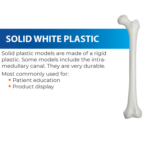 Highly durable solid plastic models crafted from rigid materials, some featuring an intramedullary canal. Primarily utilized for patient education and product display purposes.